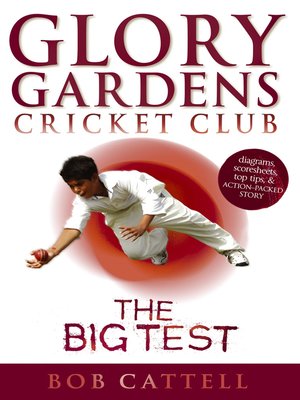cover image of The Big Test